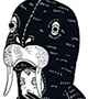 animals like us (who is the walrus?)