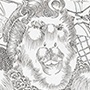 sfd beim nextcomic festival linz