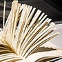 welttag der poesie